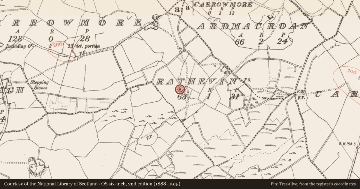 Ordnance Survey six-inch map, 2nd edition (1888–1915) covering the location of Ringfort - rath, Rathevin, County Roscommon, with a pin at the register's coordinates