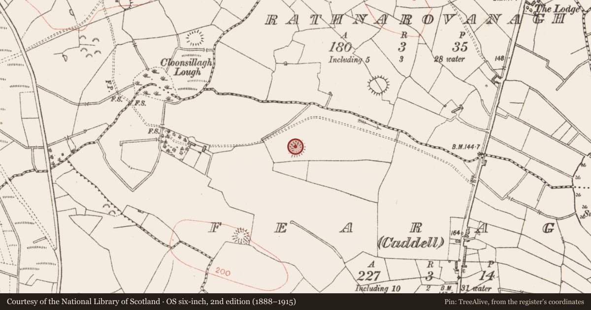 Ordnance Survey six-inch map, 2nd edition (1888–1915) covering the location of Ringfort - rath, Fearagh (Caddell), County Roscommon, with a pin at the register's coordinates