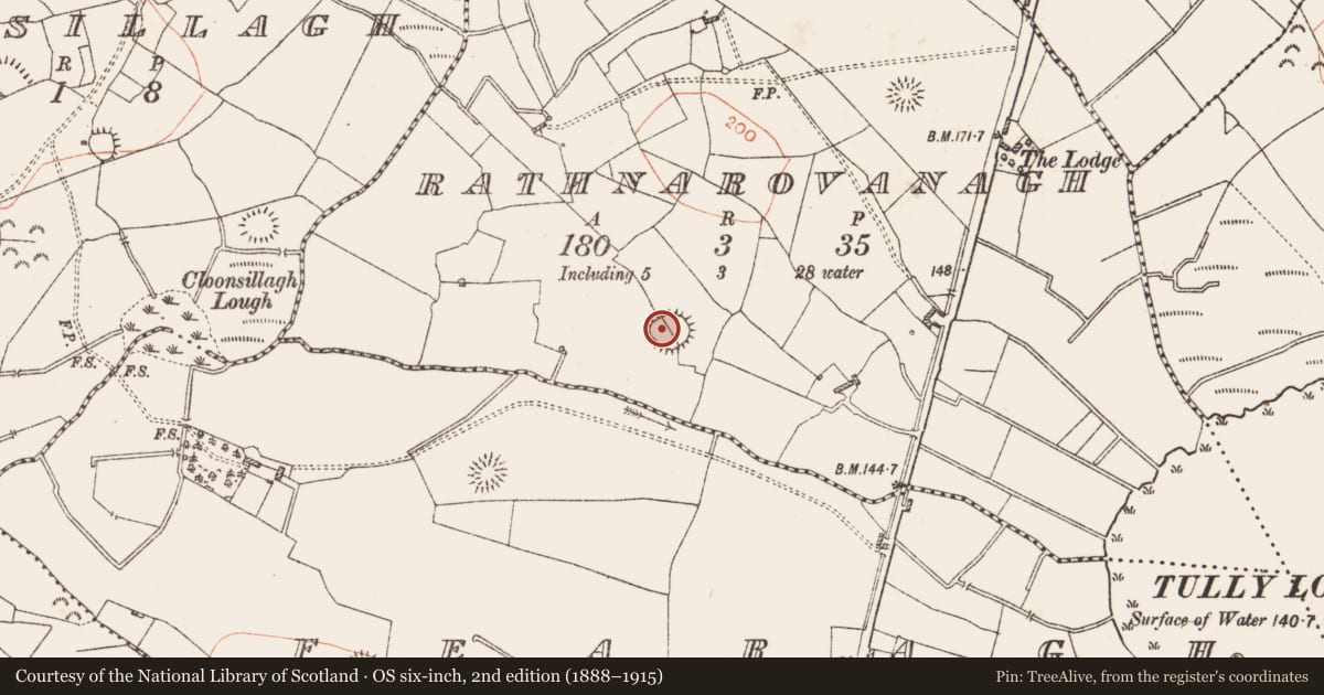 Ordnance Survey six-inch map, 2nd edition (1888–1915) covering the location of Ringfort - rath, Rathnarovanagh, County Roscommon, with a pin at the register's coordinates