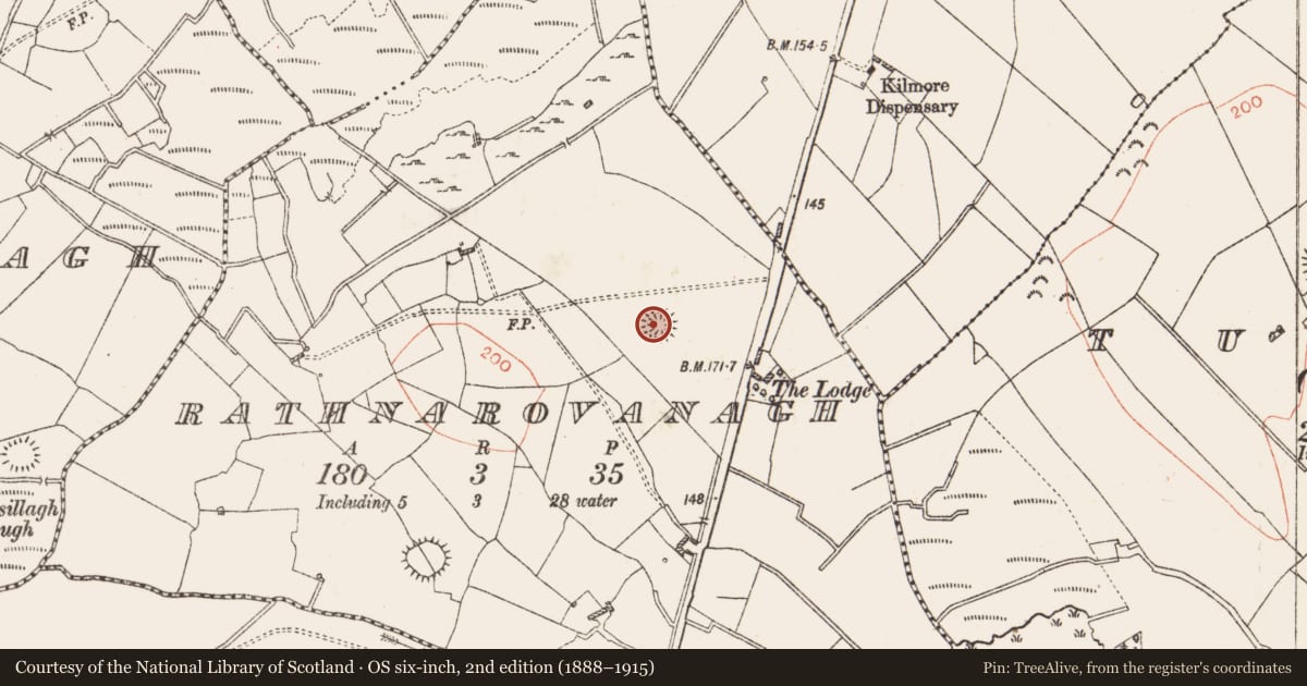 Ordnance Survey six-inch map, 2nd edition (1888–1915) covering the location of Ringfort - rath, Rathnarovanagh, County Roscommon, with a pin at the register's coordinates