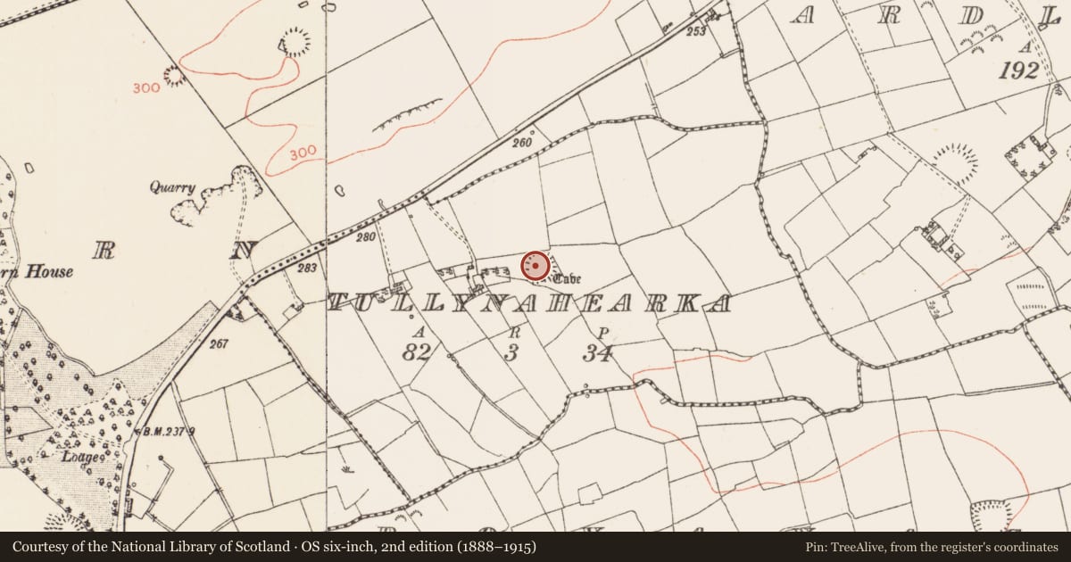 Ordnance Survey six-inch map, 2nd edition (1888–1915) covering the location of Ringfort - rath, Tullynahearka, County Roscommon, with a pin at the register's coordinates