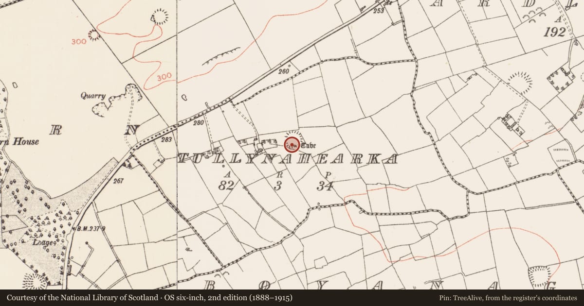 Ordnance Survey six-inch map, 2nd edition (1888–1915) covering the location of Souterrain, Tullynahearka, County Roscommon, with a pin at the register's coordinates