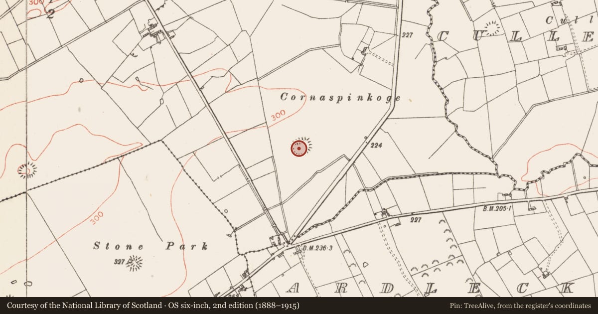 Ordnance Survey six-inch map, 2nd edition (1888–1915) covering the location of Moated site, Carrowreagh, County Roscommon, with a pin at the register's coordinates