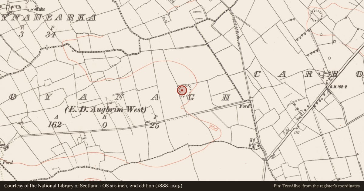 Ordnance Survey six-inch map, 2nd edition (1888–1915) covering the location of Moated site, Boyanagh, County Roscommon, with a pin at the register's coordinates