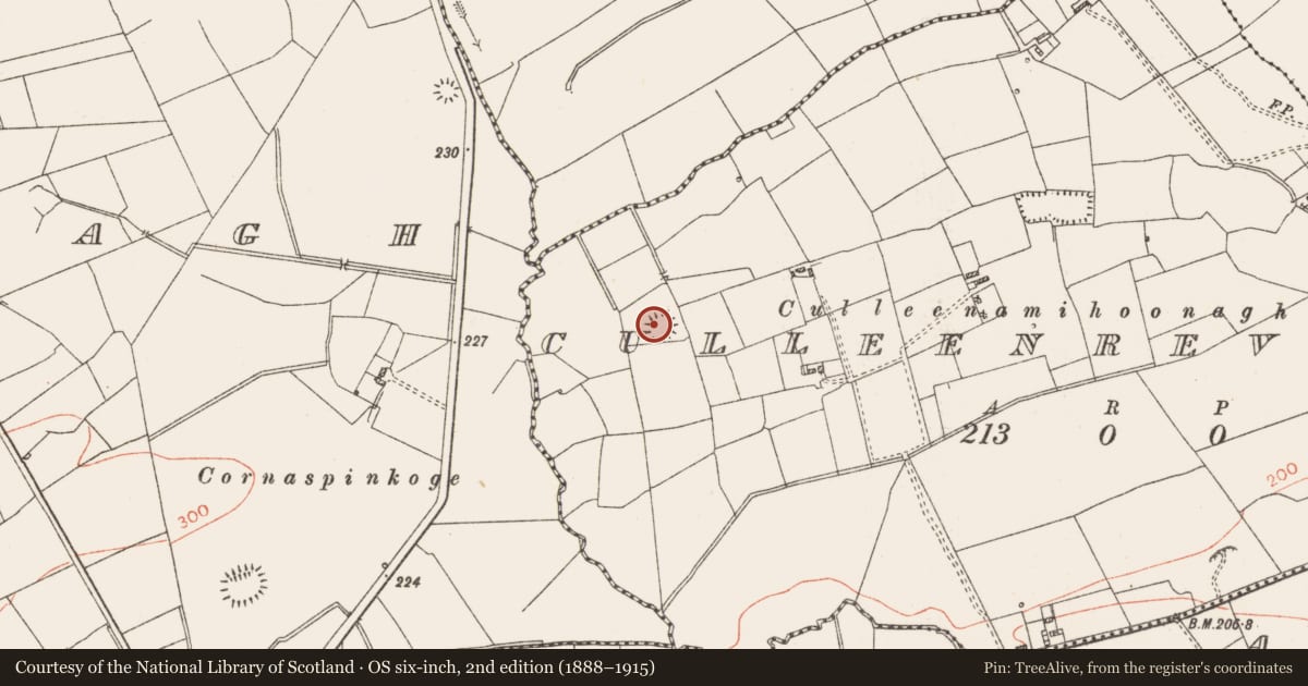 Ordnance Survey six-inch map, 2nd edition (1888–1915) covering the location of Ringfort - rath, Culleenrevagh, County Roscommon, with a pin at the register's coordinates