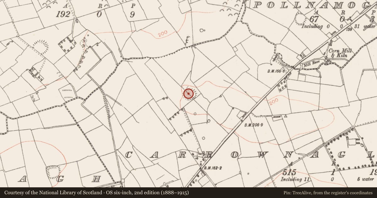 Ordnance Survey six-inch map, 2nd edition (1888–1915) covering the location of Ringfort - rath, Carrownaglearagh, County Roscommon, with a pin at the register's coordinates