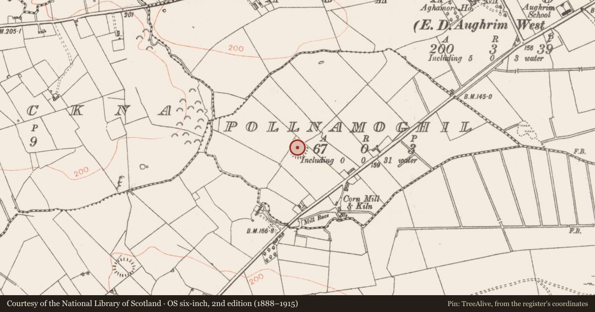 Ordnance Survey six-inch map, 2nd edition (1888–1915) covering the location of Ringfort - rath, Pollnamoghil, County Roscommon, with a pin at the register's coordinates