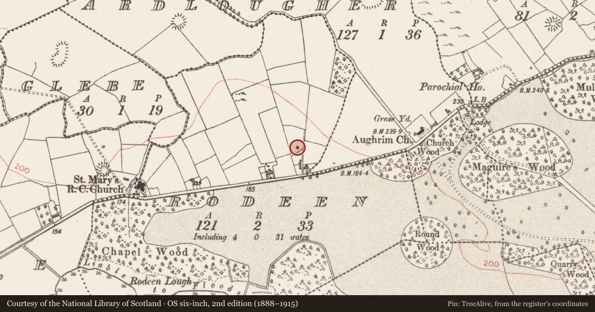 Ordnance Survey six-inch map, 2nd edition (1888–1915) covering the location of Earthwork, Rodeen, County Roscommon, with a pin at the register's coordinates