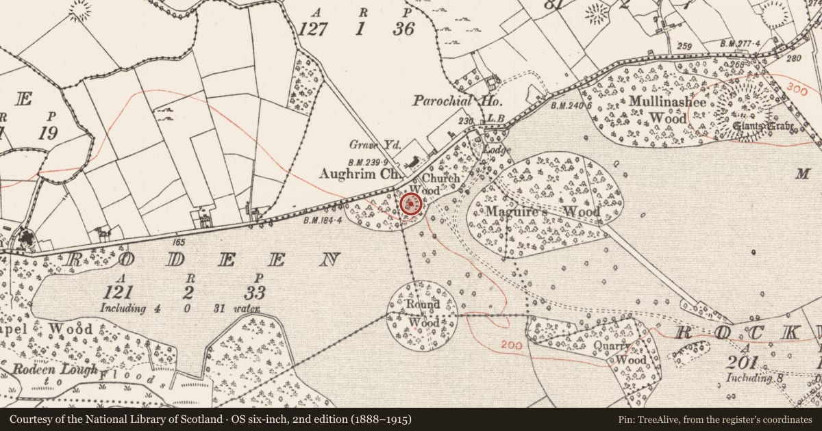Ordnance Survey six-inch map, 2nd edition (1888–1915) covering the location of Ringfort - rath, Ardlougher, County Roscommon, with a pin at the register's coordinates
