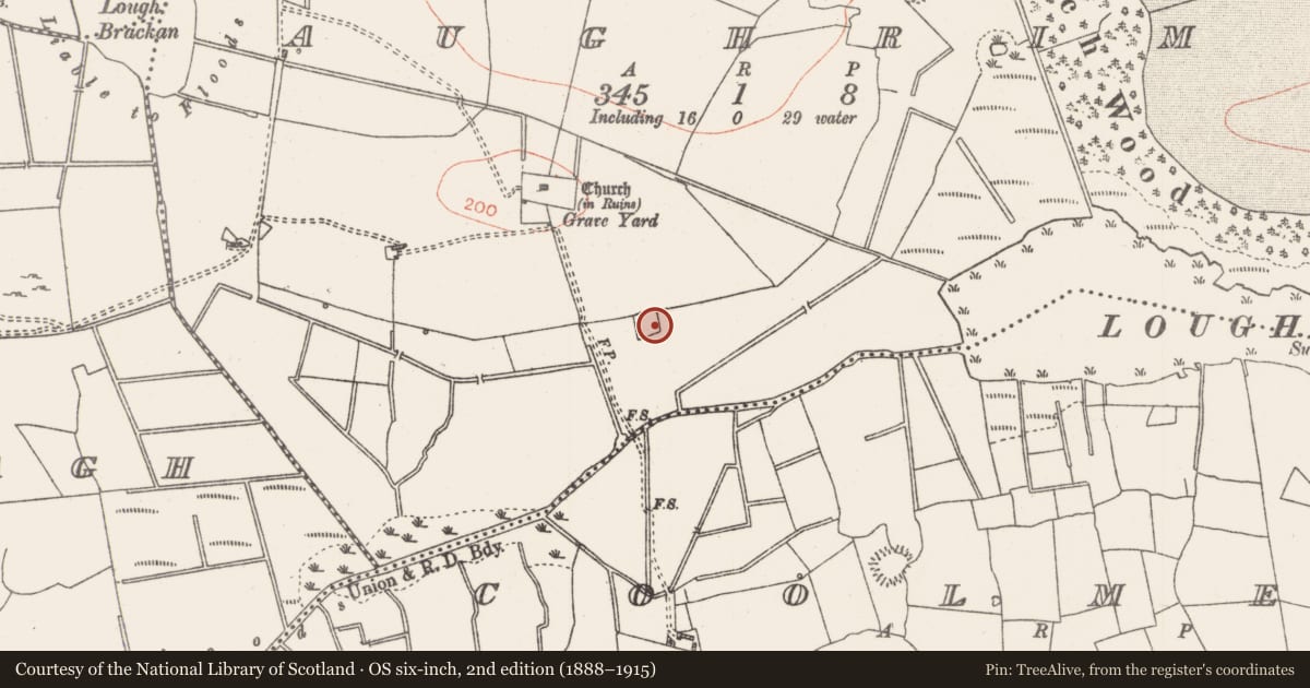 Ordnance Survey six-inch map, 2nd edition (1888–1915) covering the location of Moated site, Aughrim, County Roscommon, with a pin at the register's coordinates
