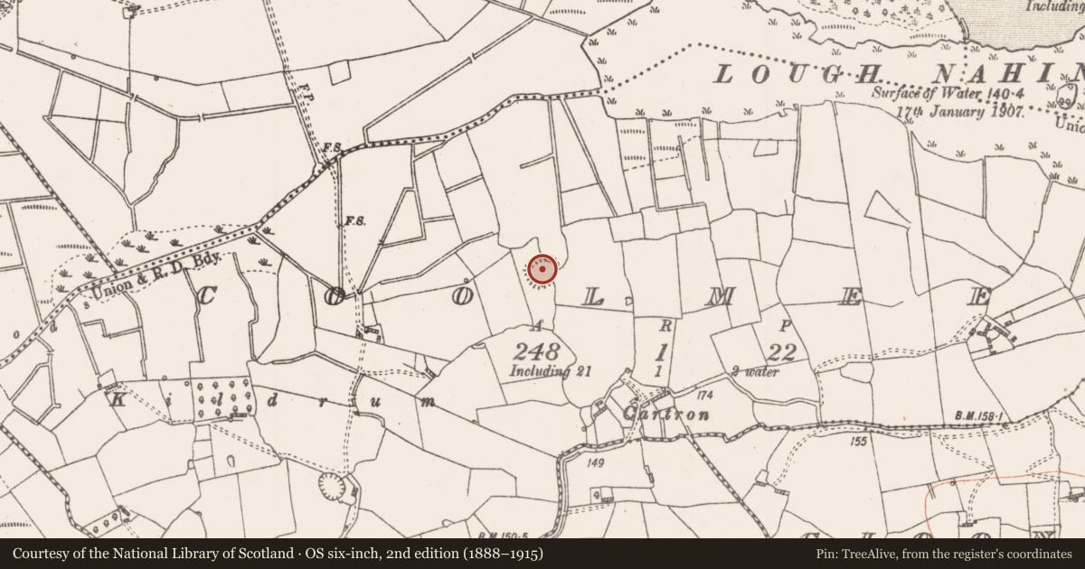 Ordnance Survey six-inch map, 2nd edition (1888–1915) covering the location of Ringfort - rath, Coolmeen, County Roscommon, with a pin at the register's coordinates