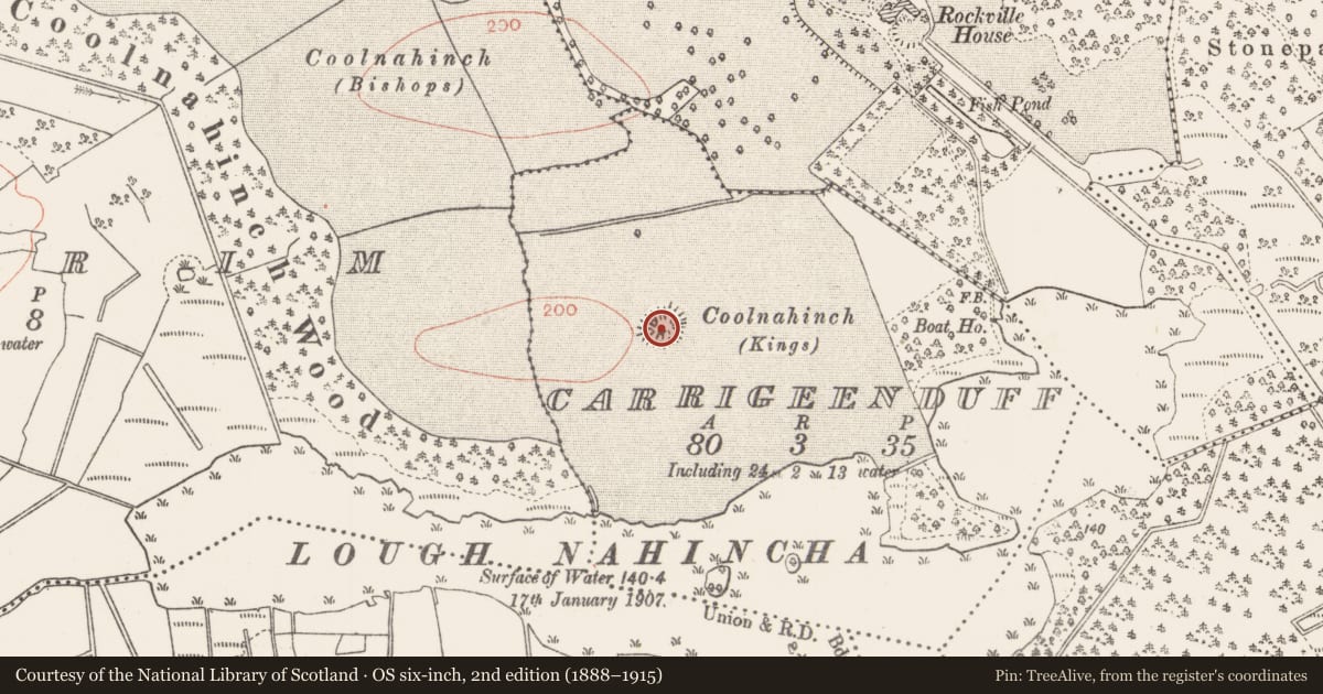 Ordnance Survey six-inch map, 2nd edition (1888–1915) covering the location of Ringfort - rath, Carrigeenduff, County Roscommon, with a pin at the register's coordinates