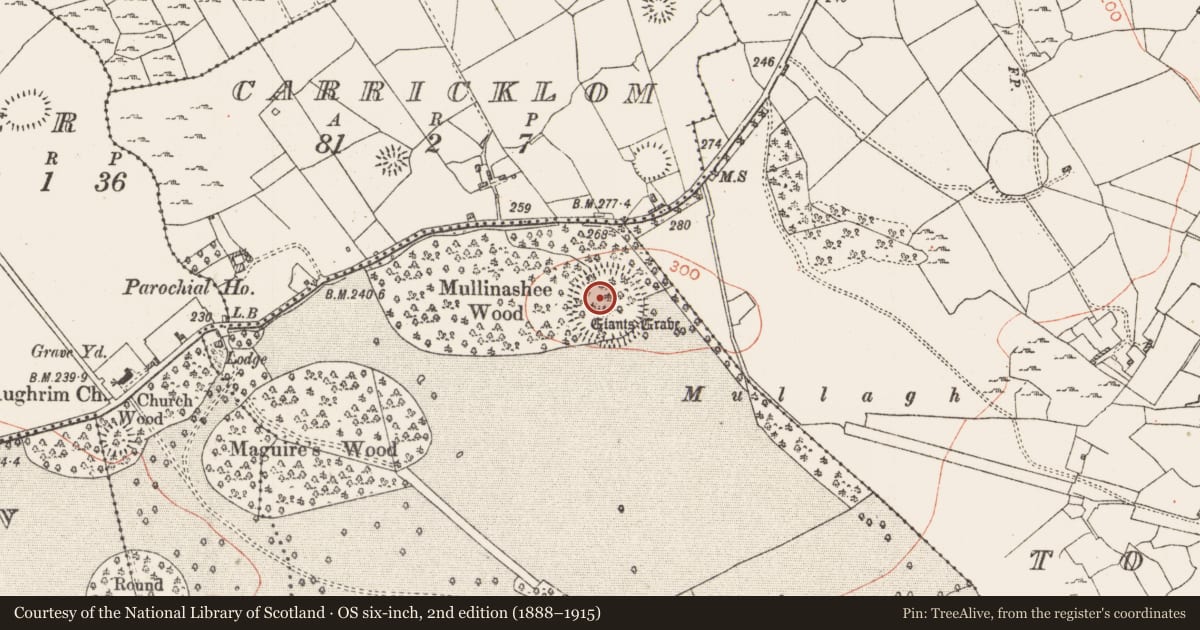 Ordnance Survey six-inch map, 2nd edition (1888–1915) covering the location of Cairn - unclassified, Rockville, County Roscommon, with a pin at the register's coordinates