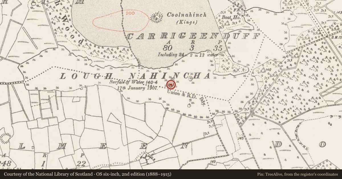 Ordnance Survey six-inch map, 2nd edition (1888–1915) covering the location of Crannog, Carrigeenduff, County Roscommon, with a pin at the register's coordinates