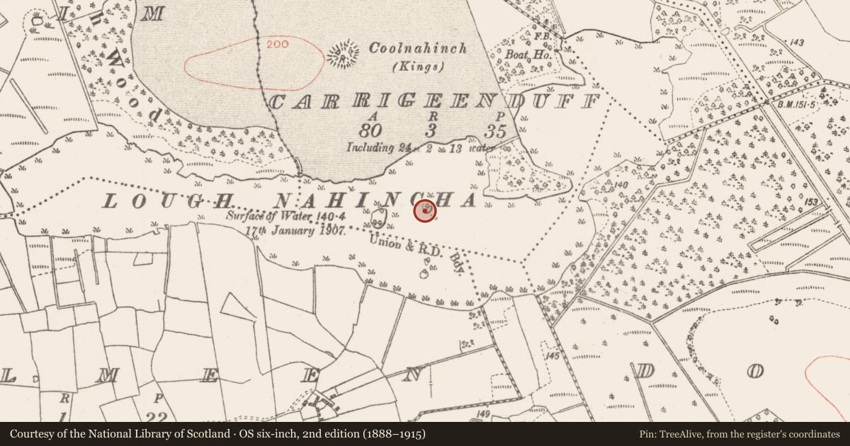 Ordnance Survey six-inch map, 2nd edition (1888–1915) covering the location of Crannog, Carrigeenduff, County Roscommon, with a pin at the register's coordinates