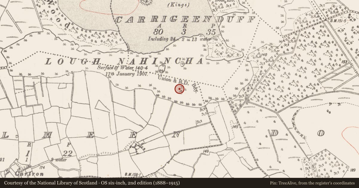 Ordnance Survey six-inch map, 2nd edition (1888–1915) covering the location of Crannog, Coolmeen, County Roscommon, with a pin at the register's coordinates