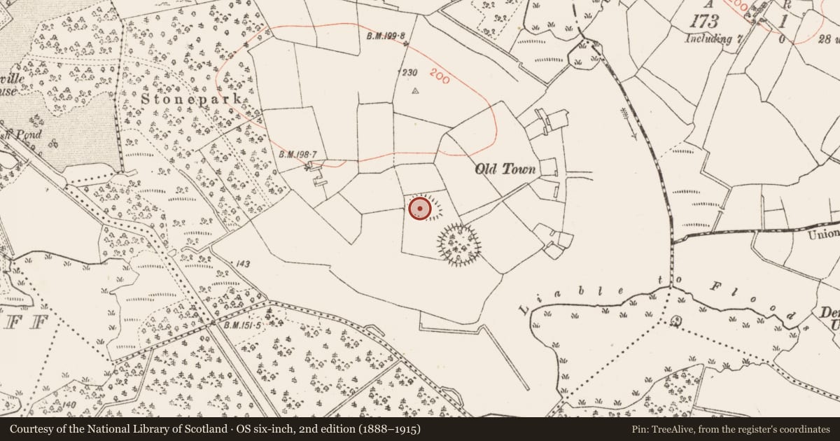 Ordnance Survey six-inch map, 2nd edition (1888–1915) covering the location of Ringfort - rath, Toomore, County Roscommon, with a pin at the register's coordinates
