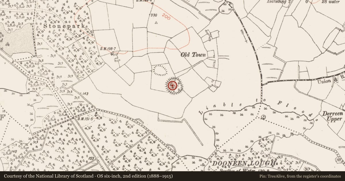 Ordnance Survey six-inch map, 2nd edition (1888–1915) covering the location of Ringfort - cashel, Toomore, County Roscommon, with a pin at the register's coordinates