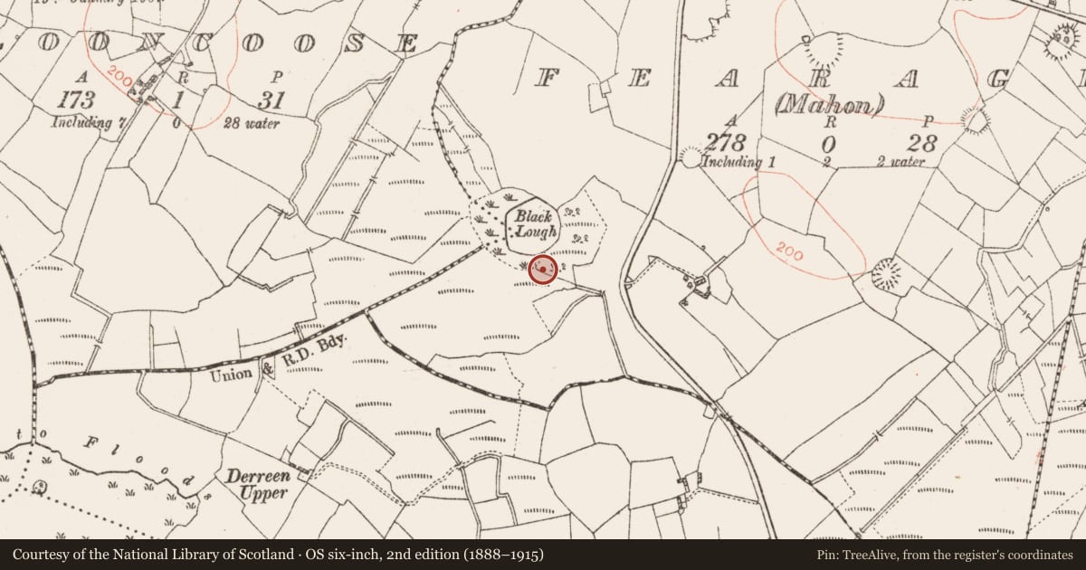 Ordnance Survey six-inch map, 2nd edition (1888–1915) covering the location of Crannog, Fearagh (Mahon), County Roscommon, with a pin at the register's coordinates