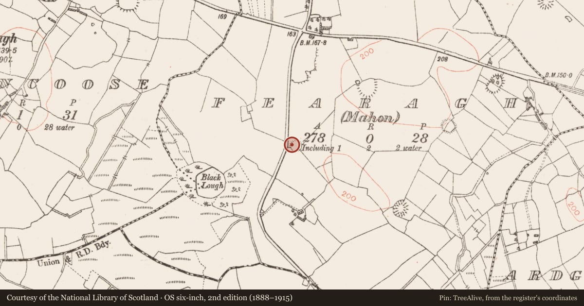 Ordnance Survey six-inch map, 2nd edition (1888–1915) covering the location of Ringfort - rath, Fearagh (Mahon), County Roscommon, with a pin at the register's coordinates