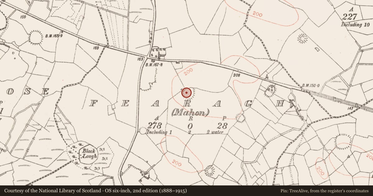 Ordnance Survey six-inch map, 2nd edition (1888–1915) covering the location of Ringfort - rath, Fearagh (Mahon), County Roscommon, with a pin at the register's coordinates
