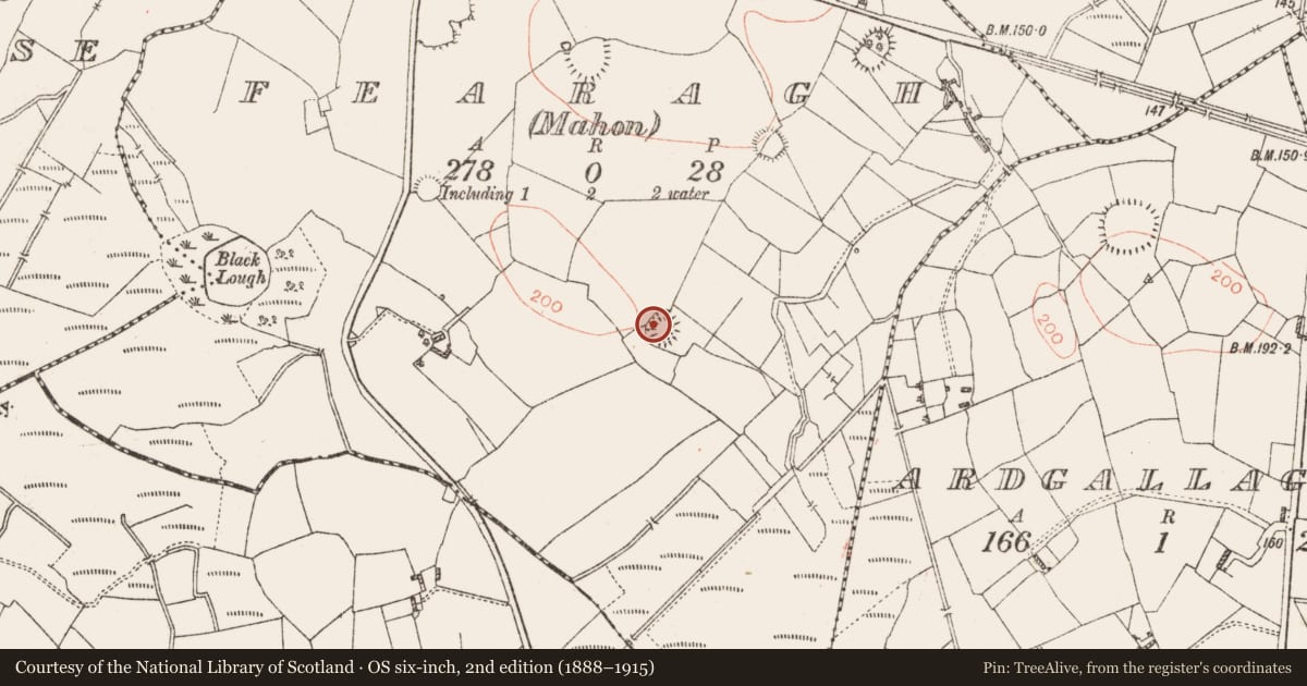 Ordnance Survey six-inch map, 2nd edition (1888–1915) covering the location of Ringfort - rath, Fearagh (Mahon), County Roscommon, with a pin at the register's coordinates