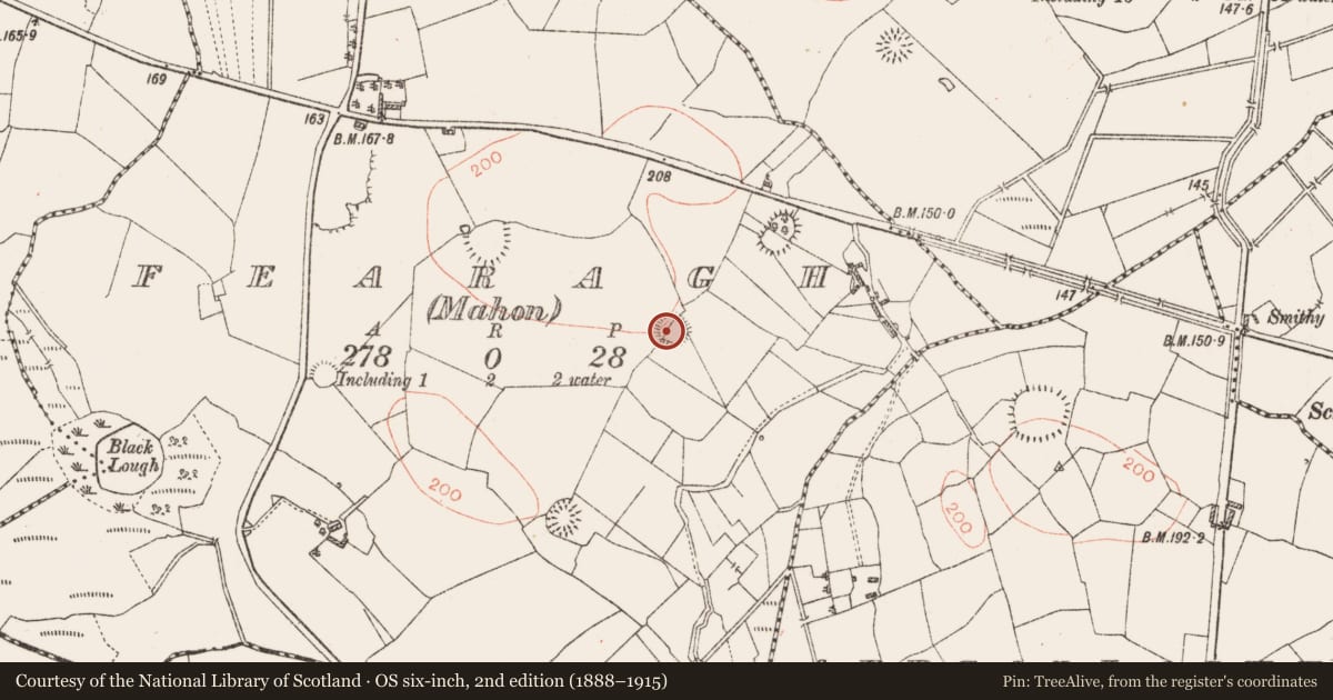 Ordnance Survey six-inch map, 2nd edition (1888–1915) covering the location of Ringfort - rath, Fearagh (Mahon), County Roscommon, with a pin at the register's coordinates