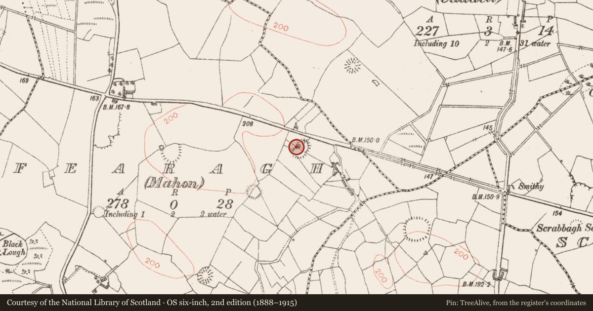 Ordnance Survey six-inch map, 2nd edition (1888–1915) covering the location of Ringfort - rath, Fearagh (Mahon), County Roscommon, with a pin at the register's coordinates