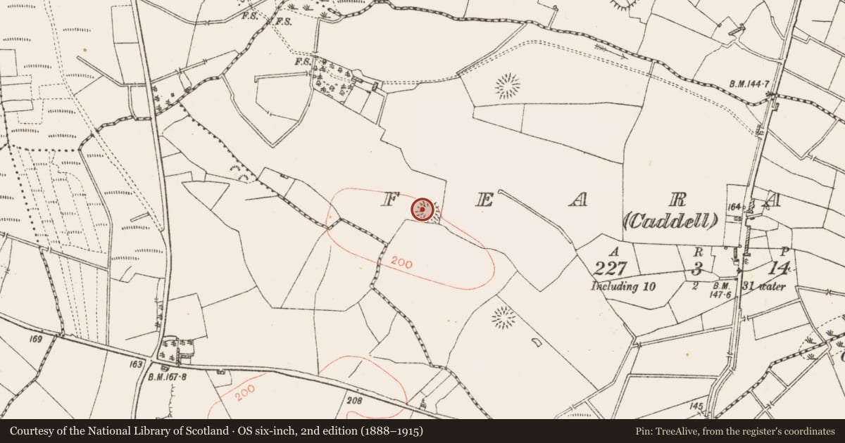 Ordnance Survey six-inch map, 2nd edition (1888–1915) covering the location of Ringfort - rath, Fearagh (Caddell), County Roscommon, with a pin at the register's coordinates