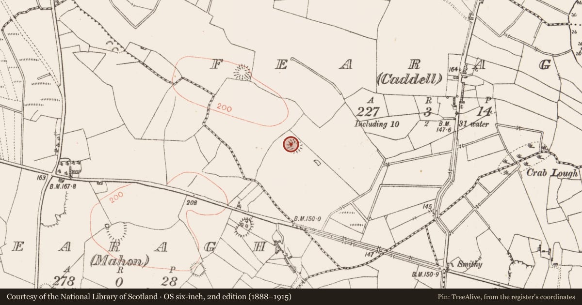 Ordnance Survey six-inch map, 2nd edition (1888–1915) covering the location of Ringfort - rath, Fearagh (Caddell), County Roscommon, with a pin at the register's coordinates