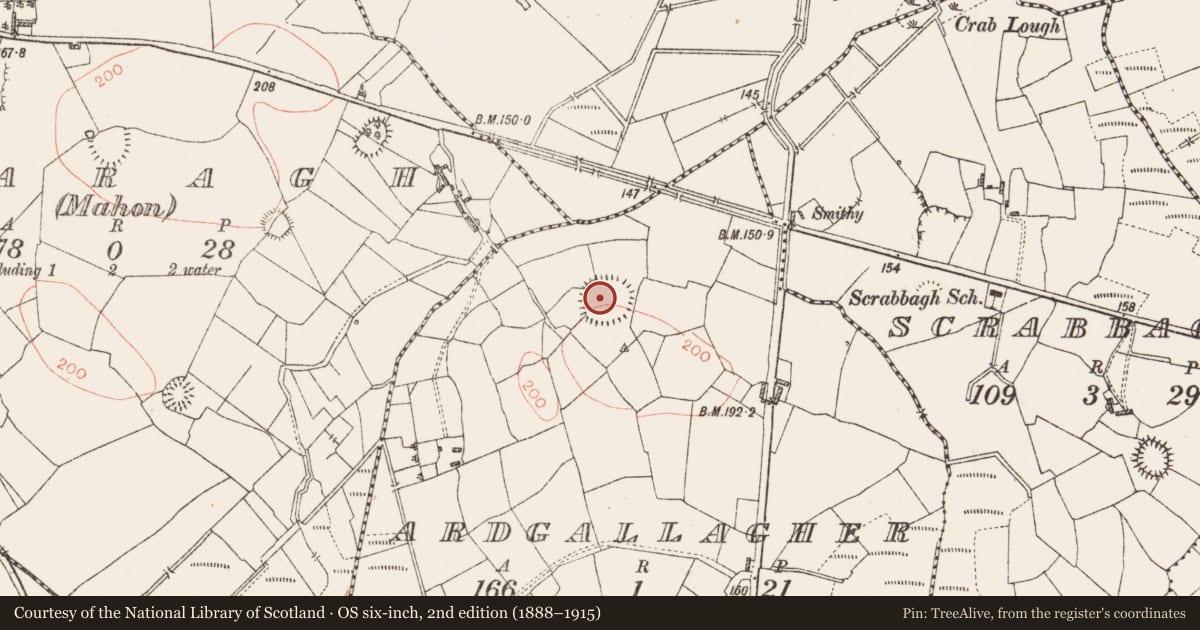 Ordnance Survey six-inch map, 2nd edition (1888–1915) covering the location of Enclosure - large enclosure, Ardgallagher, County Roscommon, with a pin at the register's coordinates