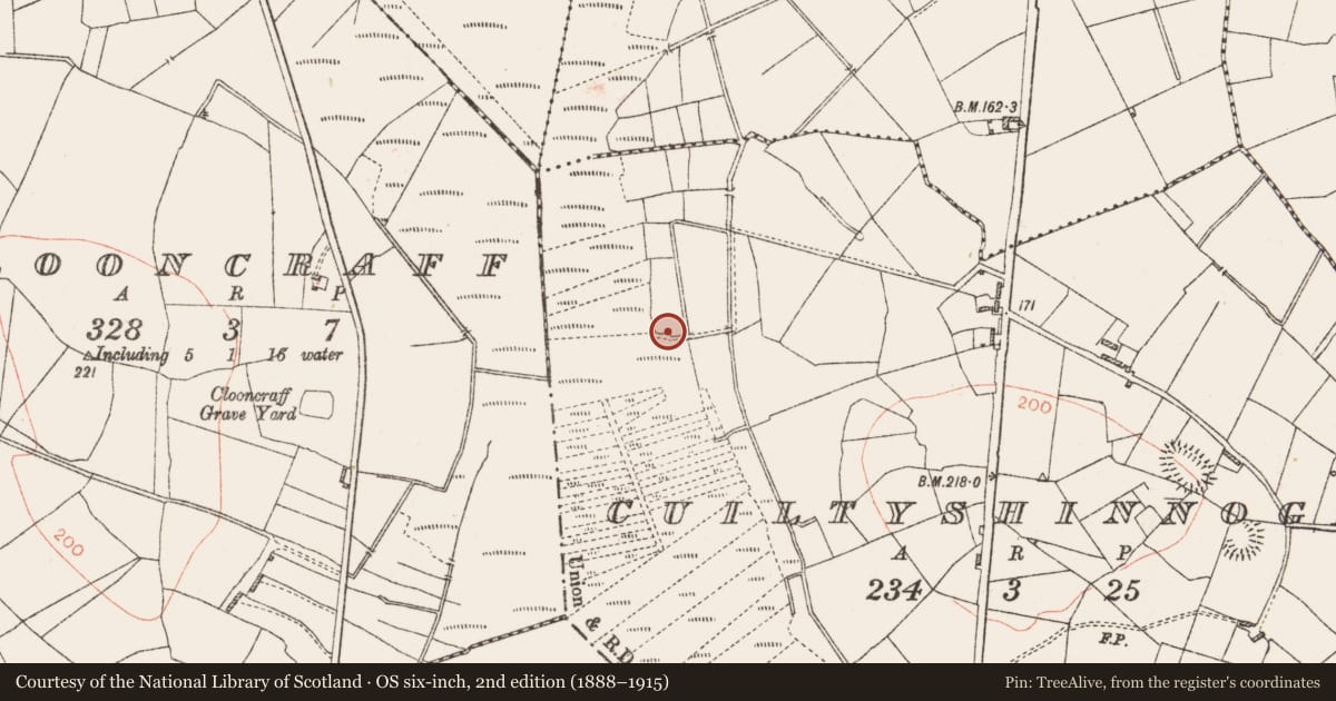 Ordnance Survey six-inch map, 2nd edition (1888–1915) covering the location of Ritual site - holy well, Cuiltyshinnoge, County Roscommon, with a pin at the register's coordinates