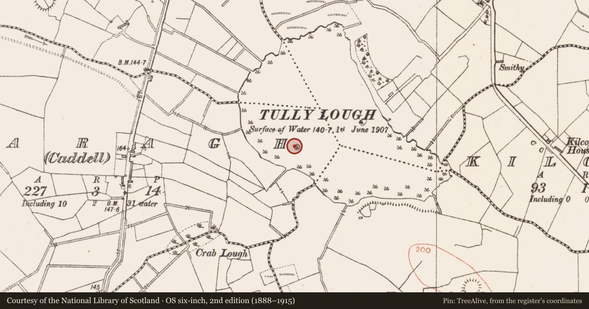 Ordnance Survey six-inch map, 2nd edition (1888–1915) covering the location of Crannog, Fearagh (Caddell), County Roscommon, with a pin at the register's coordinates