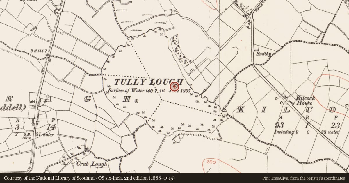 Ordnance Survey six-inch map, 2nd edition (1888–1915) covering the location of Crannog, Tully, County Roscommon, with a pin at the register's coordinates