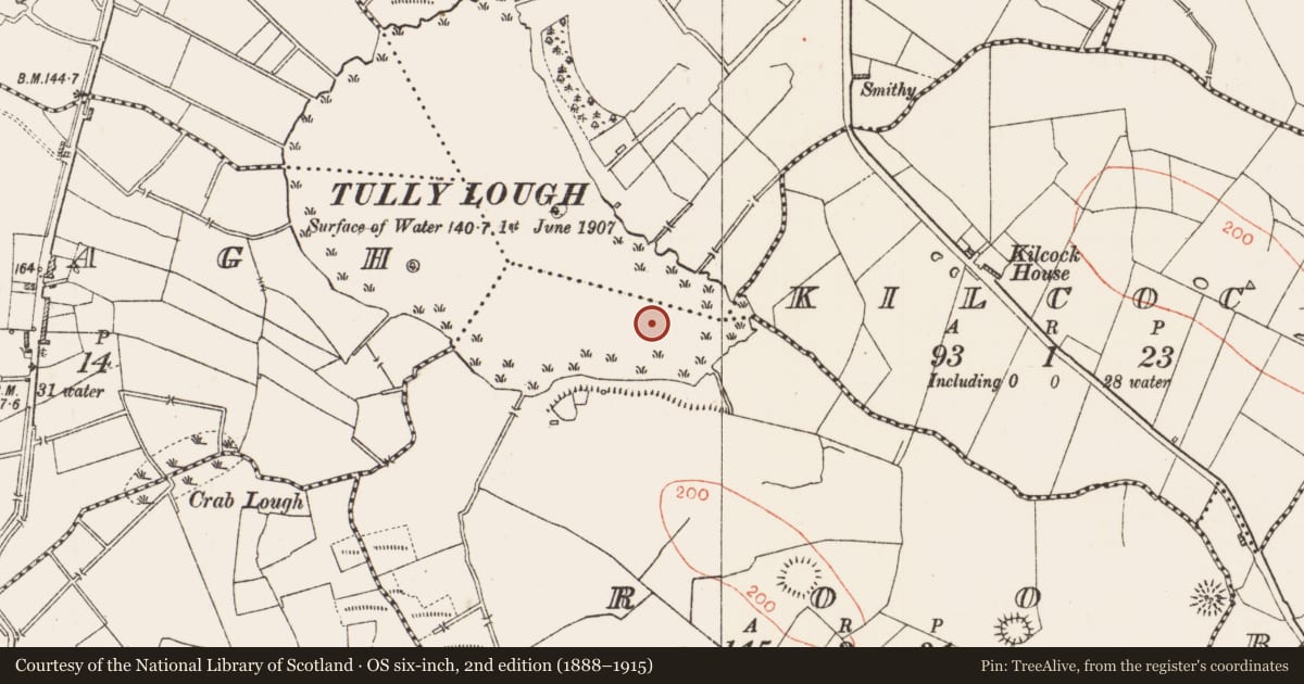 Ordnance Survey six-inch map, 2nd edition (1888–1915) covering the location of Crannog, Roo, County Roscommon, with a pin at the register's coordinates