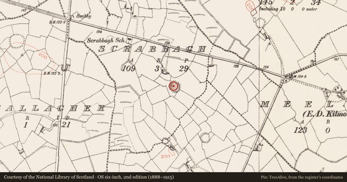Ordnance Survey six-inch map, 2nd edition (1888–1915) covering the location of Ringfort - rath, Scrabbagh, County Roscommon, with a pin at the register's coordinates