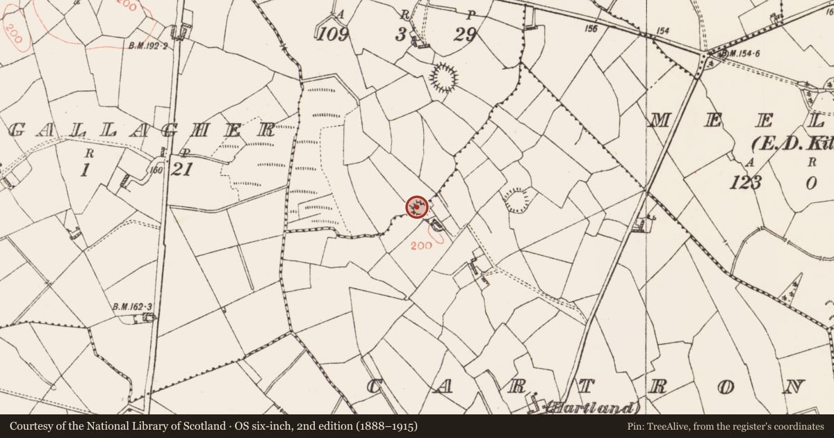 Ordnance Survey six-inch map, 2nd edition (1888–1915) covering the location of Ringfort - rath, Cartron (Hartland), Scrabbagh, County Roscommon, with a pin at the register's coordinates