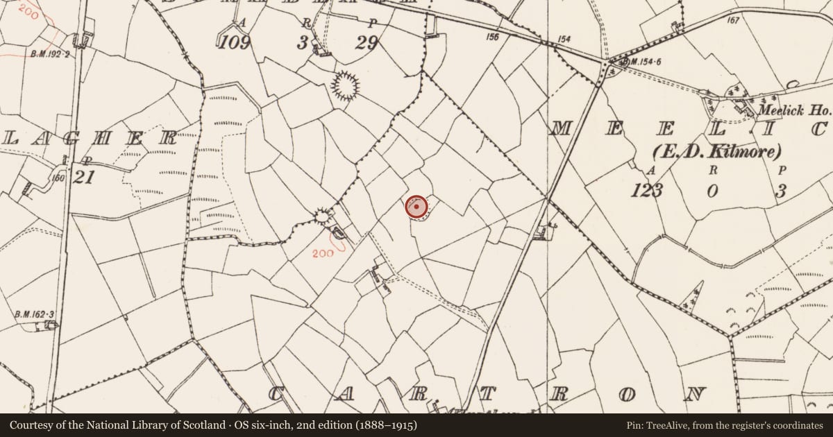 Ordnance Survey six-inch map, 2nd edition (1888–1915) covering the location of Ringfort - rath, Cartron (Hartland), County Roscommon, with a pin at the register's coordinates