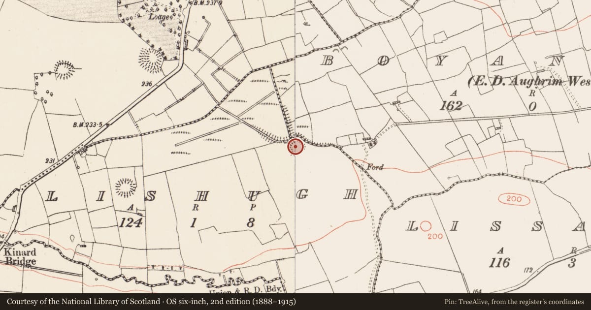 Ordnance Survey six-inch map, 2nd edition (1888–1915) covering the location of Ringfort - rath, Lishugh, County Roscommon, with a pin at the register's coordinates