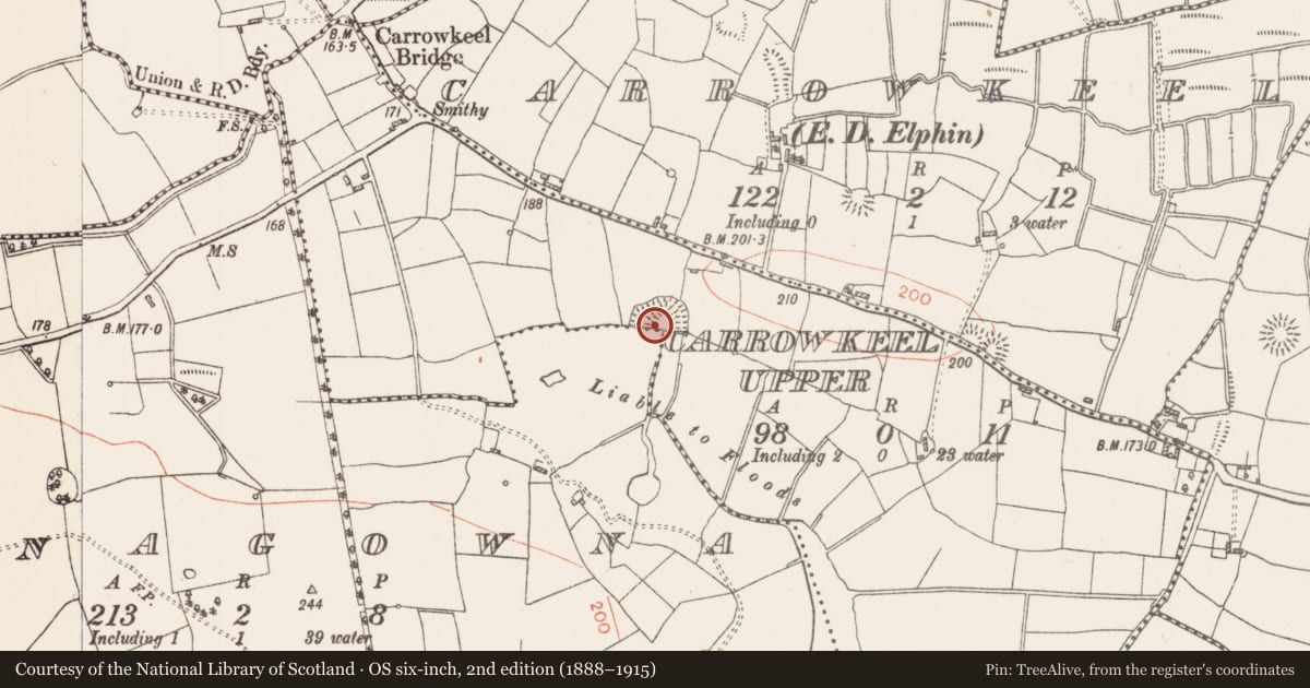 Ordnance Survey six-inch map, 2nd edition (1888–1915) covering the location of Ringfort - rath, Carrowkeel Upper, County Roscommon, with a pin at the register's coordinates