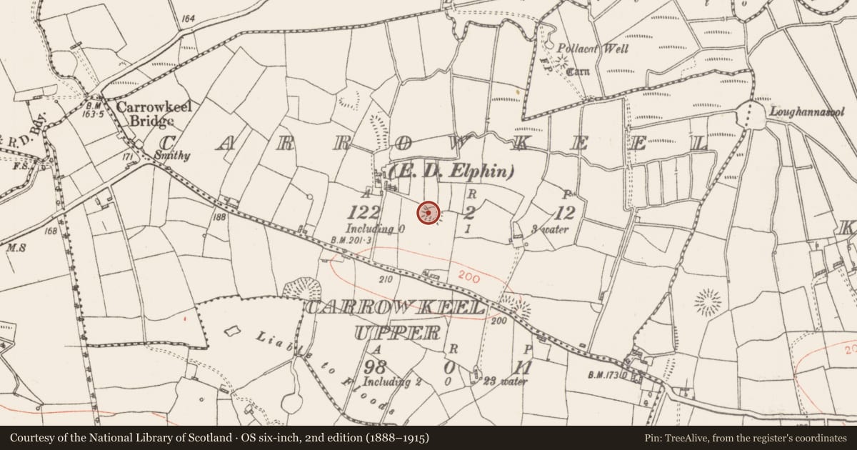 Ordnance Survey six-inch map, 2nd edition (1888–1915) covering the location of Ringfort - rath, Carrowkeel, County Roscommon, with a pin at the register's coordinates