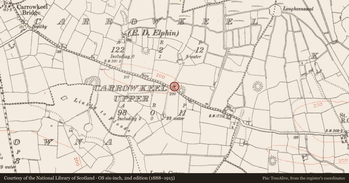 Ordnance Survey six-inch map, 2nd edition (1888–1915) covering the location of Ringfort - rath, Carrowkeel, County Roscommon, with a pin at the register's coordinates