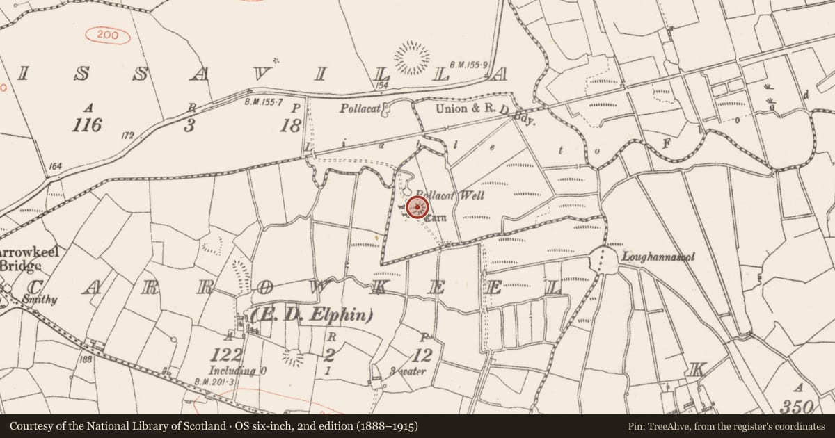 Ordnance Survey six-inch map, 2nd edition (1888–1915) covering the location of Cairn - unclassified, Kye, County Roscommon, with a pin at the register's coordinates
