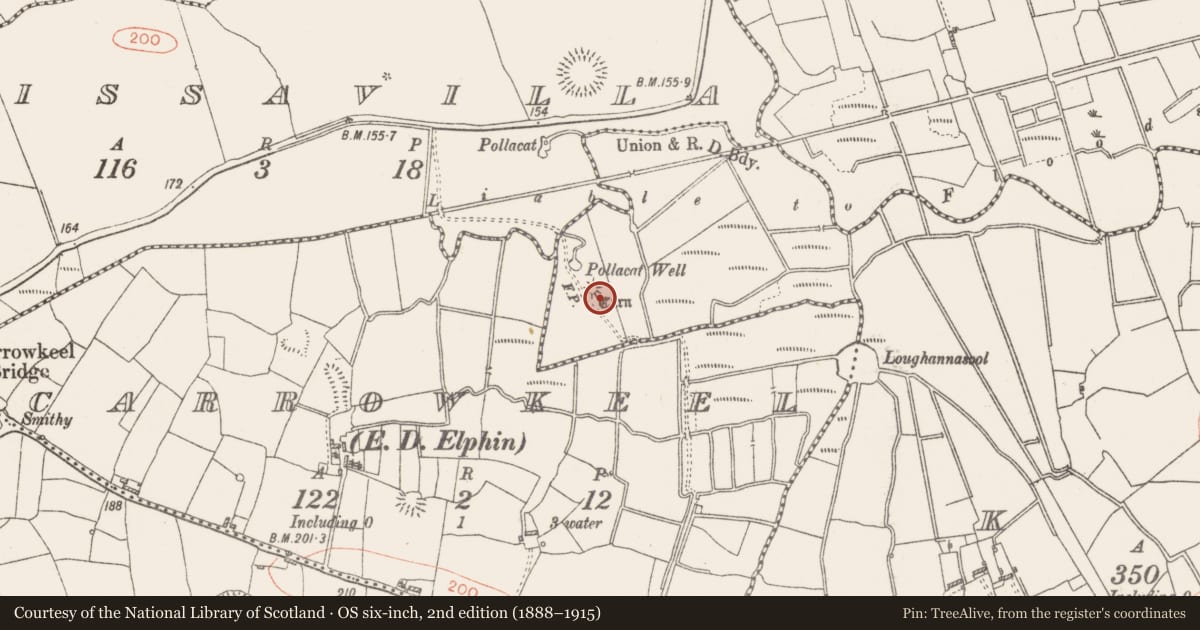 Ordnance Survey six-inch map, 2nd edition (1888–1915) covering the location of Cairn - unclassified, Kye, County Roscommon, with a pin at the register's coordinates