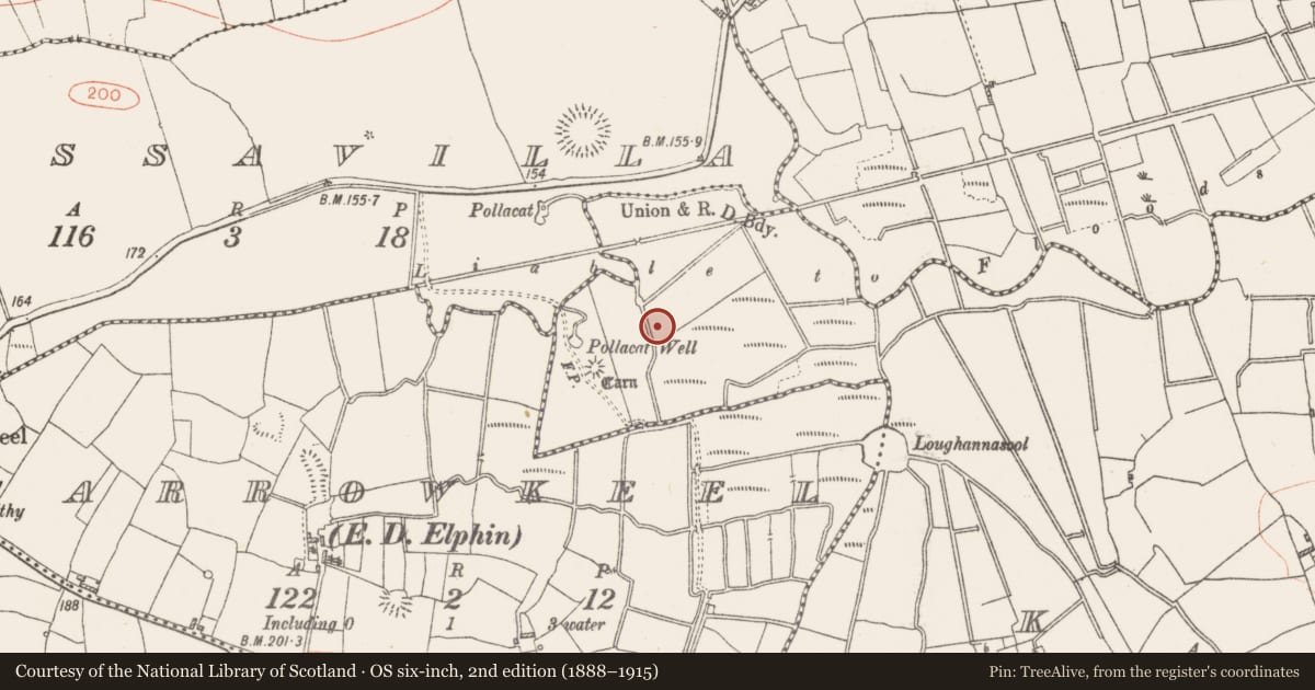 Ordnance Survey six-inch map, 2nd edition (1888–1915) covering the location of Earthwork, Kye, County Roscommon, with a pin at the register's coordinates