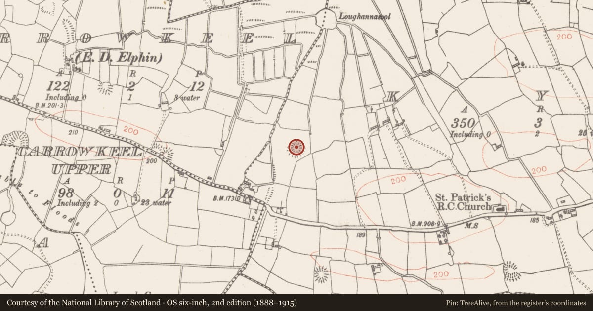 Ordnance Survey six-inch map, 2nd edition (1888–1915) covering the location of Ringfort - rath, Kye, County Roscommon, with a pin at the register's coordinates
