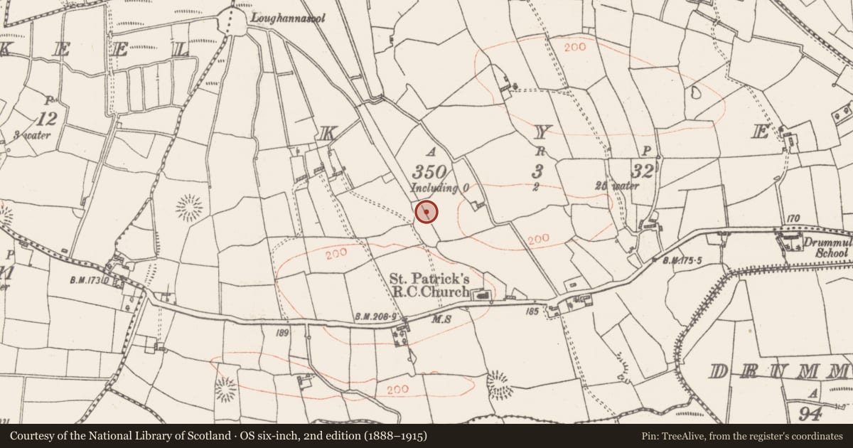 Ordnance Survey six-inch map, 2nd edition (1888–1915) covering the location of Earthwork, Kye, County Roscommon, with a pin at the register's coordinates