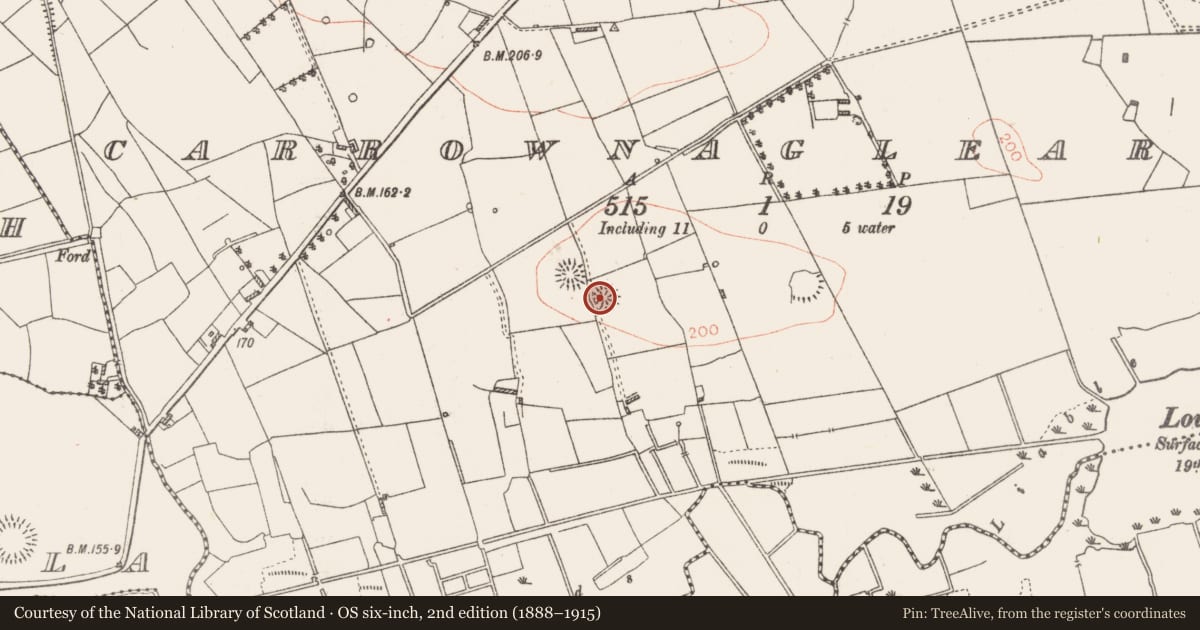 Ordnance Survey six-inch map, 2nd edition (1888–1915) covering the location of Souterrain, Carrownaglearagh, County Roscommon, with a pin at the register's coordinates
