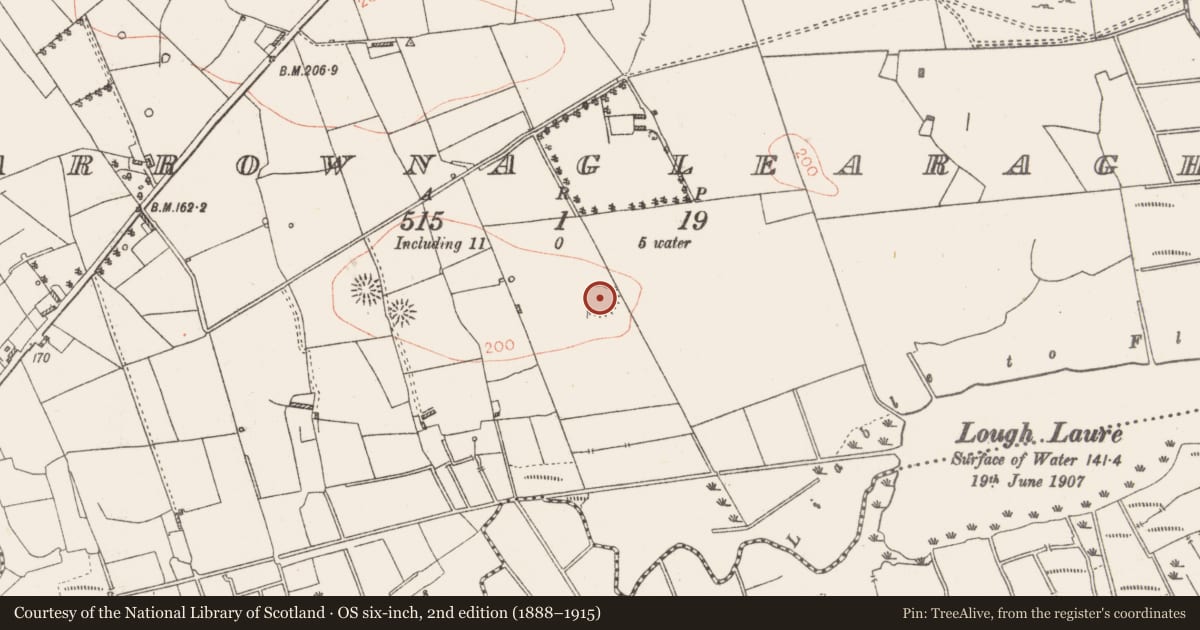 Ordnance Survey six-inch map, 2nd edition (1888–1915) covering the location of Ringfort - rath, Carrownaglearagh, County Roscommon, with a pin at the register's coordinates