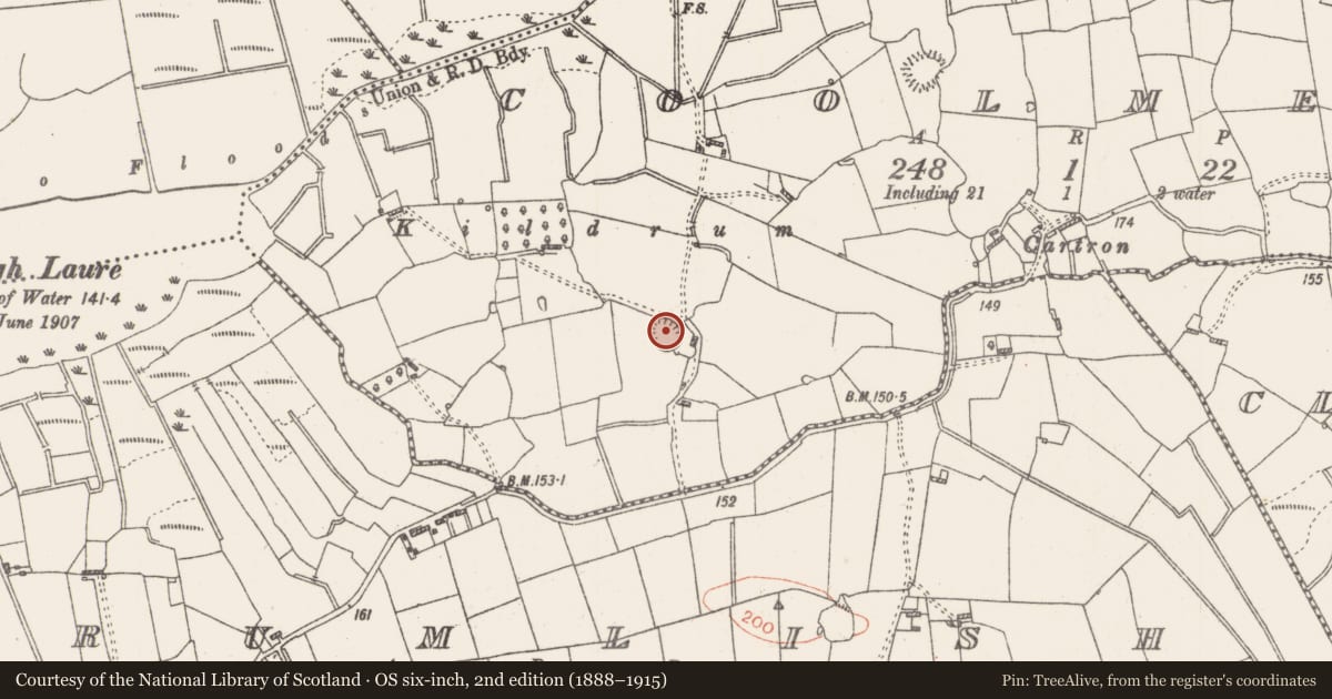 Ordnance Survey six-inch map, 2nd edition (1888–1915) covering the location of Ringfort - rath, Coolmeen, County Roscommon, with a pin at the register's coordinates
